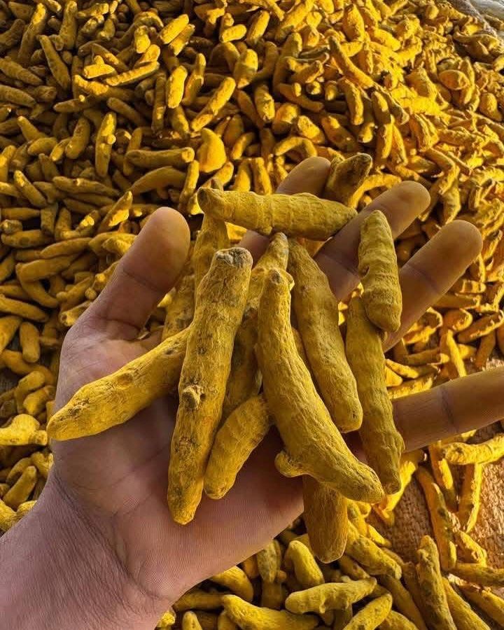 Raw Turmeric